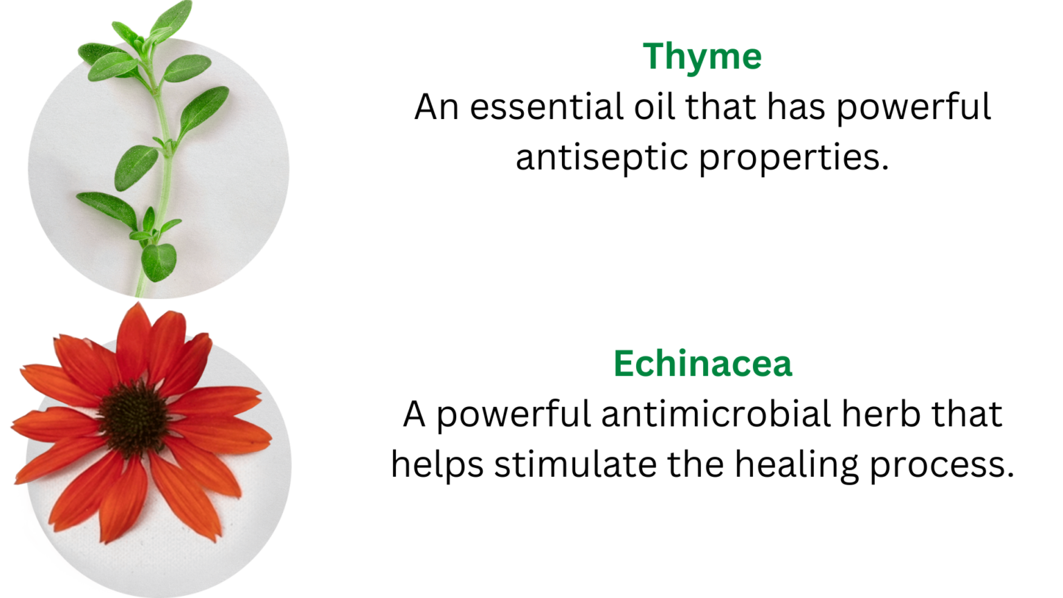 Under the Gums Irrigant Dental Herb Company