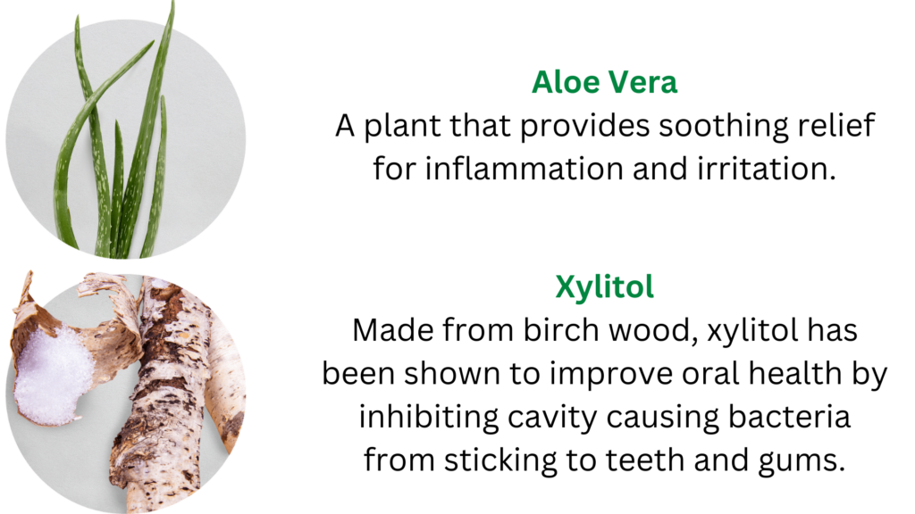 Essentials Toothpaste – Fluoride-Free, Antimicrobial and SLS-free ...