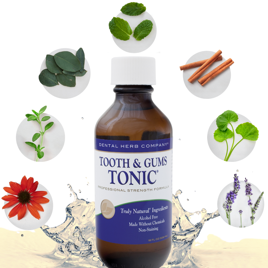 2 Pack Tooth & Gums Tonic Dental Herb Company
